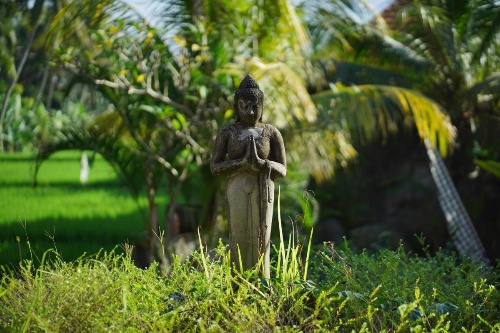 Asri Sari Villa Ubud image 17